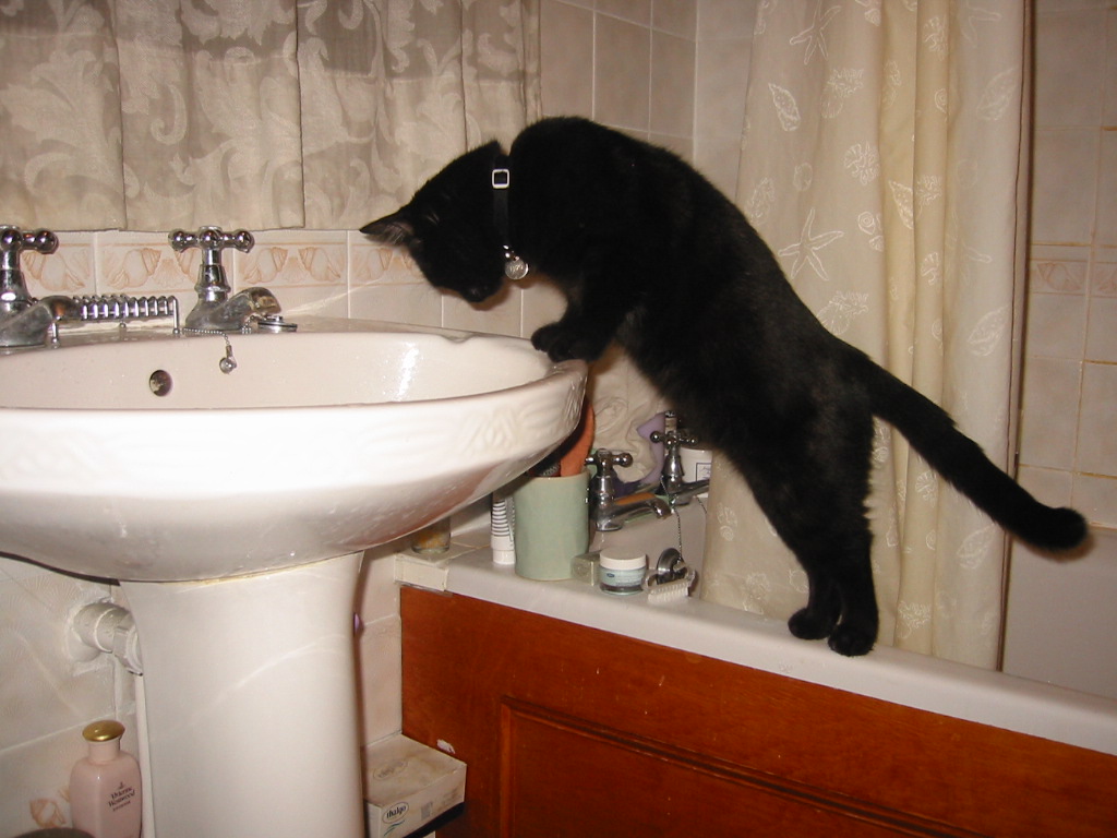 You have reached the last slide