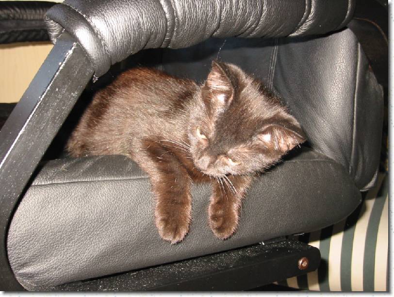 Click for the original image