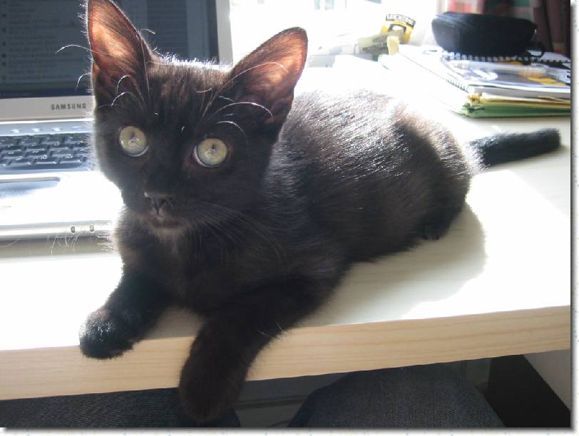 Click for the original image