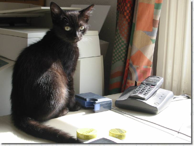 Click for the original image