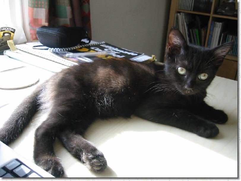 Click for the original image