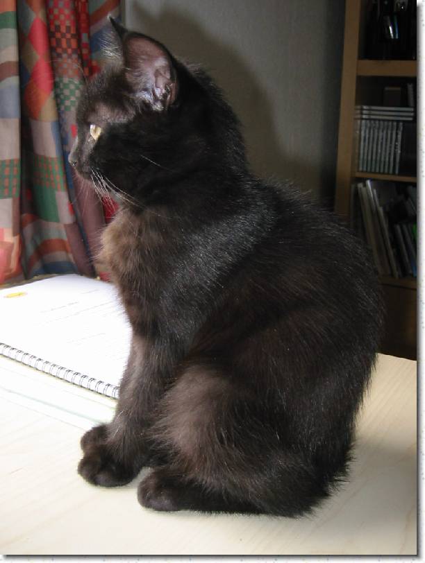 Click for the original image