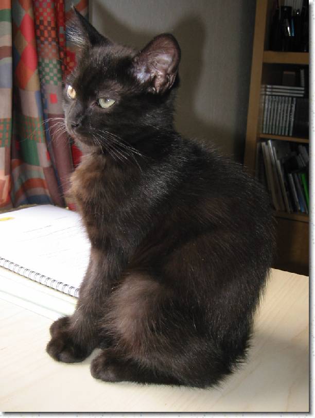 Click for the original image