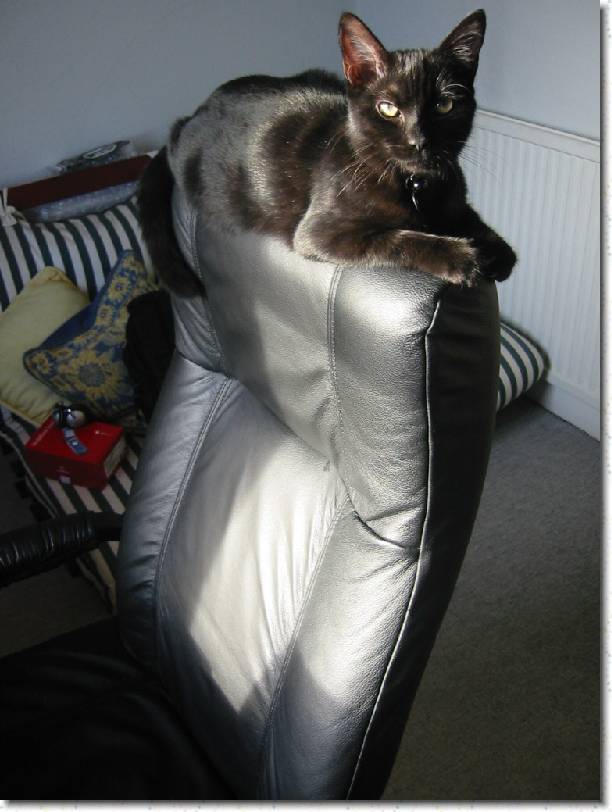 Click for the original image