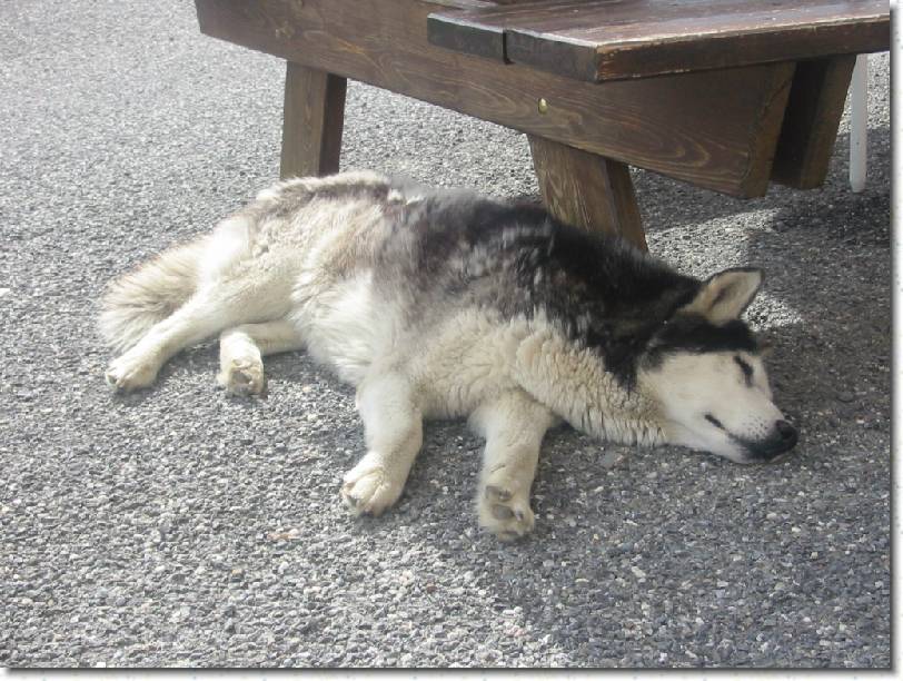 Click for the original image